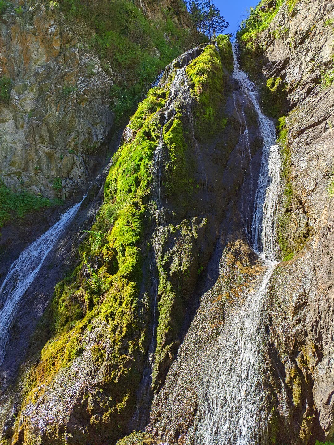 A waterfall climbing a mossy cliff