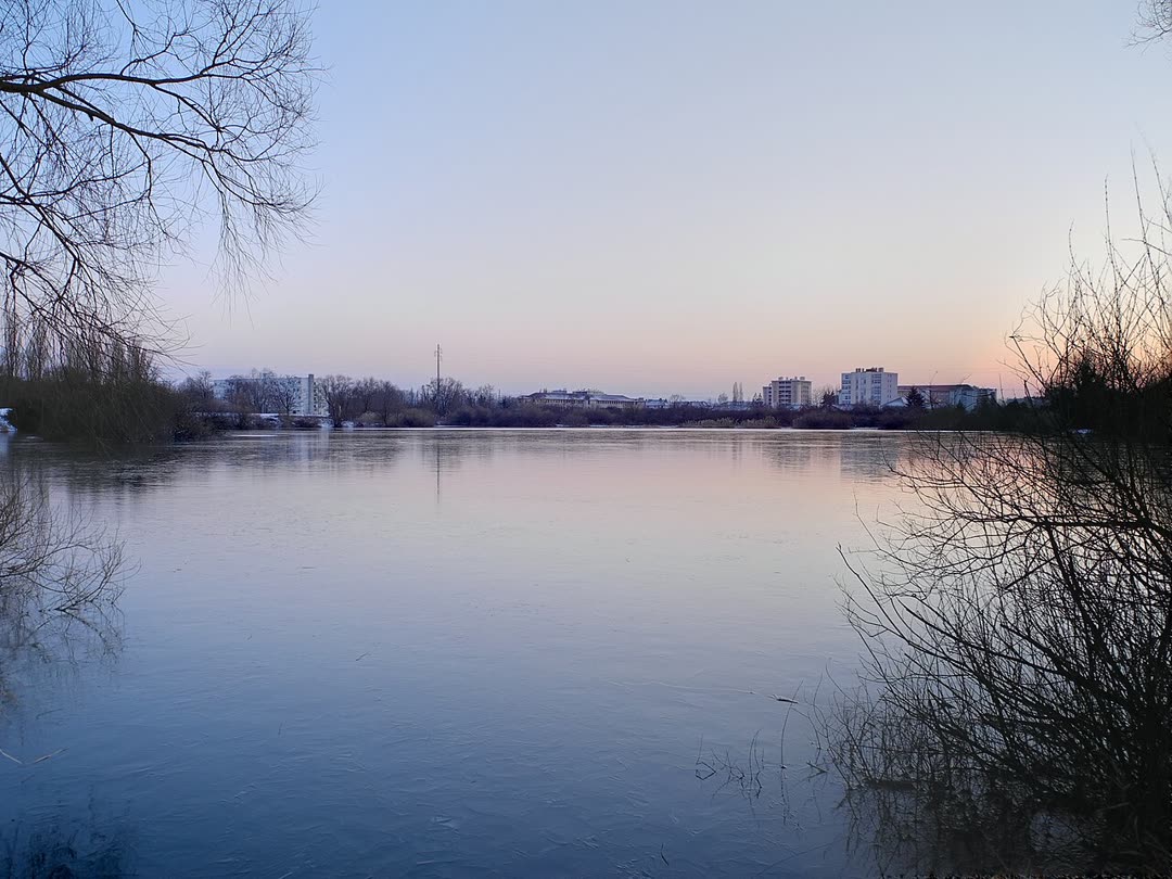 Still water at dusk